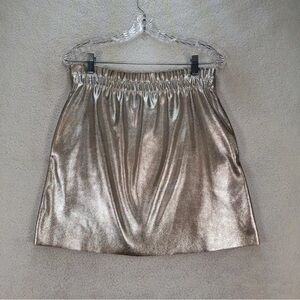 Zara Silver Metallic Skirt